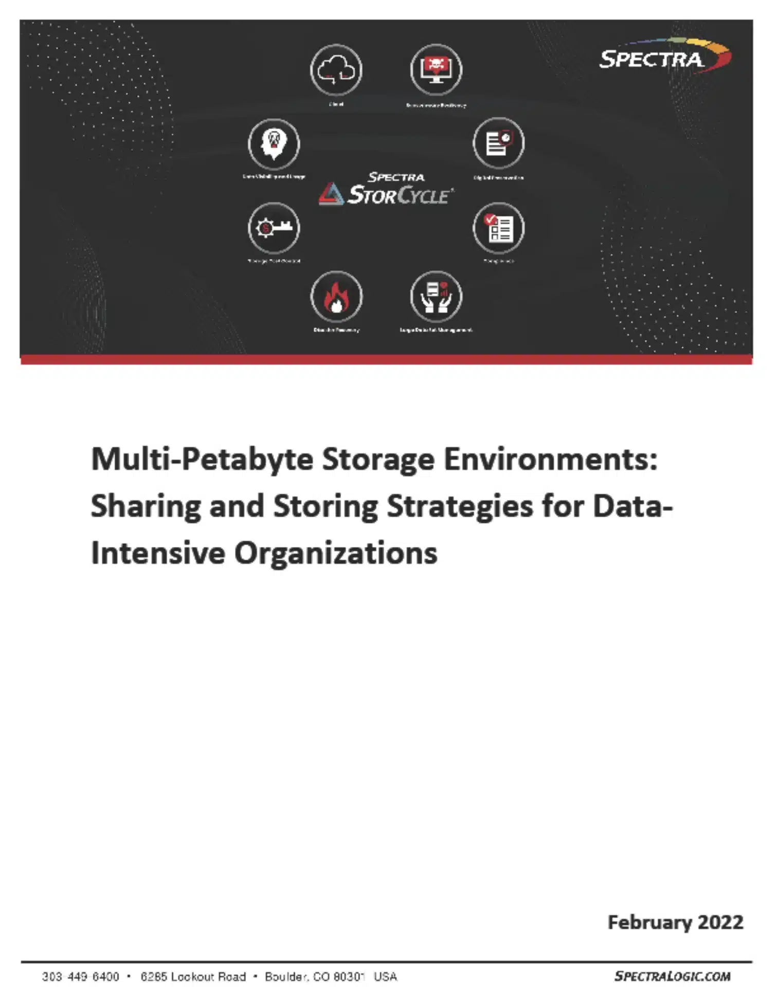 Multi-Petabyte Storage Environments: Sharing and Storing Strategies for Data- Intensive Organizations